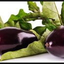 업투 용인동백점 이미지