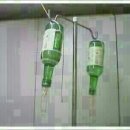 통큰노가리 이미지