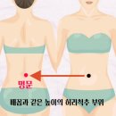 신진의료기 이미지