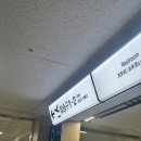 오픈워터 어드밴스드따러 간 제주도 여행🐟🤿 #2 (개방수역 후기)
