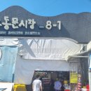 먹거리끝판왕 | 제주 동문시장 먹거리 추천 끝판왕 직접 다녀온 솔직 후기