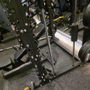 머슬원핏 시화점 이미지