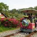 지우민박 이미지