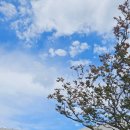 (주)한남 여산휴게소(천안방향) | 전북 익산 미륵사지 휴게소 천안 방향-간식 카페 푸드코트 리뉴얼