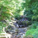 비슬산자연휴양림 이미지