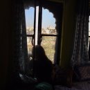 델리카우 이미지