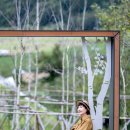 9월12일(금) 효석달빛언덕정원 &amp; 원주카페사진정원 이미지