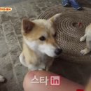 숙녀농장 이미지