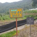 진여울펜션 이미지