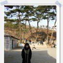 메리엘테마
