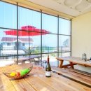 반도스파인 이미지