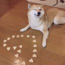 노원-수락-5292 | 오