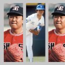 린NC - 안산시 단원구 광덕대로 194 | 마운드를 지배한 거인들: KBO 역대 우완 단일 시즌 20승 불멸의 기록 총정리