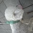 젤리뽀개린이집 이미지