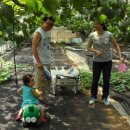 말바우 농장 이미지