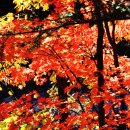 인제3공원 이미지