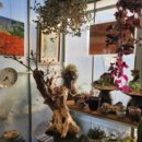 리틀 포레스트 펜션 | 거제펜션 리틀포레스트 1호점 내돈내산 후기