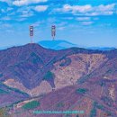 종자산 등산로 이미지