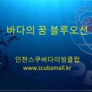 다가오는 다이빙여행 일정 이미지