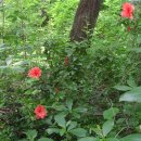 서당공원 화장실 이미지