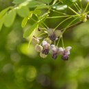 수리봉마을 이미지