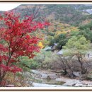 삼화초등학교 이미지