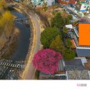 사운즈옥천