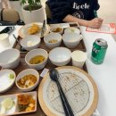 (주)새람 | [2월 결산일지] 동글동글 주먹밥 같은 터벅터벅 나애일상 🍙