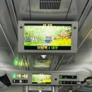 황금돼지5000냥 | 느좋도시 대구에 다녀왔어요