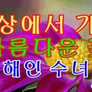 꽃세상 Daum카페