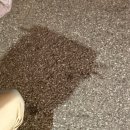 신반포로43길 30 | 1020-1026: 황제가된인숙