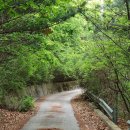 수룡봉황길 이미지