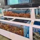 주식회사 원조속초게찜 | 속초 유진게찜, 원조의 품격이란 이런 것