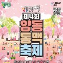 양동식품