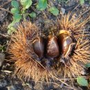 속리산펜션 이미지