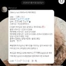 서울 헤어변형 메리누리 웨딩촬영 후기 (가성비, 내돈내산)