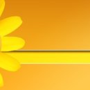 옥계동부초등학교 이미지