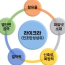 에이스브리스 - 수원시 팔달구 경수대로 597 | 에이스브리스