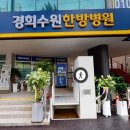 경희동물병원 네이버블로그