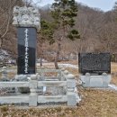 양대박 부자충의문 Daum카페