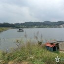 삽교천 낚시터 이미지