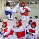 강호동태권도 이미지