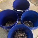 복수농장 이미지