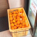 제주흑돈애 | 제주 성산 흑돼지 맛집｜현지인이 찾는 성산포흑돈애 솔직후기