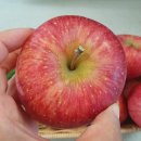 구수골농장 이미지