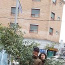 구스퍼니 이미지