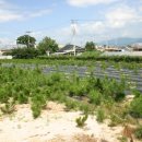 죽동농장 이미지