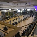 스파리스 이미지