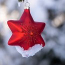 에스겔-푸름농장 이미지