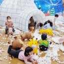 영양초교병설유치원 이미지